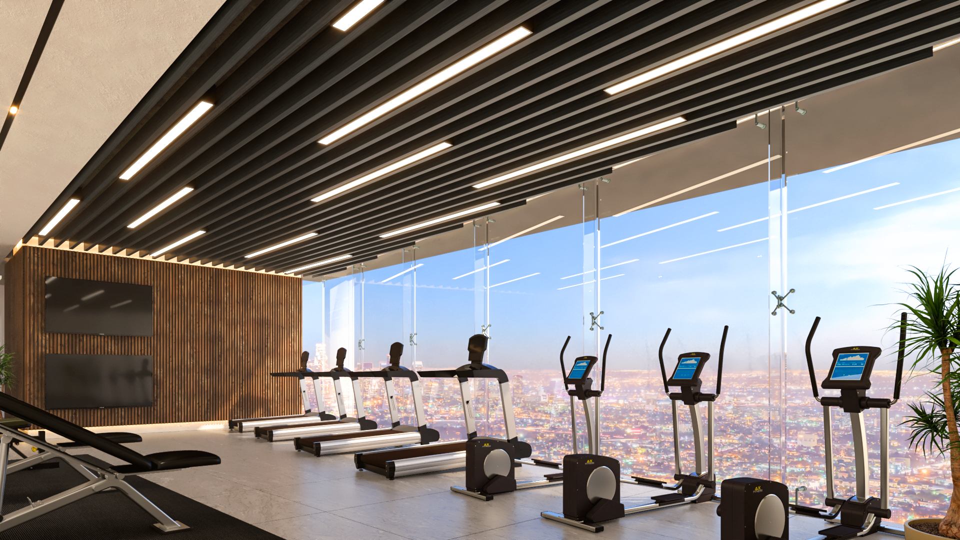 Gimnasio
